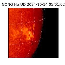 gong - 2024-10-14T05:01:02