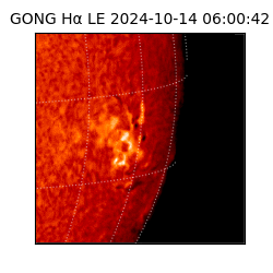 gong - 2024-10-14T06:00:42