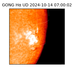 gong - 2024-10-14T07:00:02