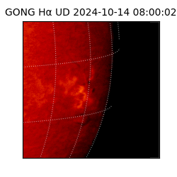 gong - 2024-10-14T08:00:02