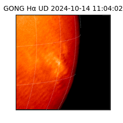 gong - 2024-10-14T11:04:02