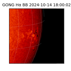 gong - 2024-10-14T18:00:02