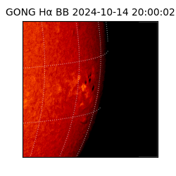 gong - 2024-10-14T20:00:02