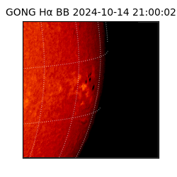 gong - 2024-10-14T21:00:02