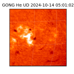 gong - 2024-10-14T05:01:02