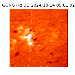 gong - 2024-10-14T09:01:02