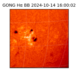 gong - 2024-10-14T16:00:02