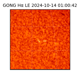 gong - 2024-10-14T01:00:42