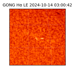 gong - 2024-10-14T03:00:42