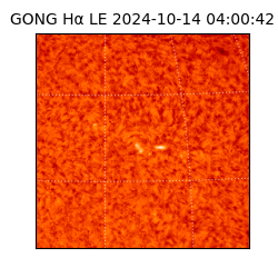 gong - 2024-10-14T04:00:42