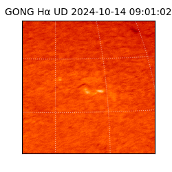 gong - 2024-10-14T09:01:02