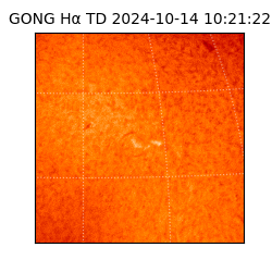 gong - 2024-10-14T10:21:22