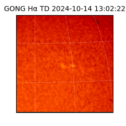 gong - 2024-10-14T13:02:22