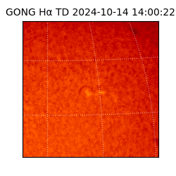 gong - 2024-10-14T14:00:22