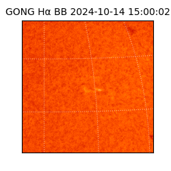 gong - 2024-10-14T15:00:02