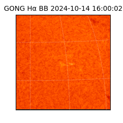 gong - 2024-10-14T16:00:02