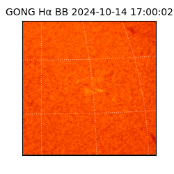 gong - 2024-10-14T17:00:02