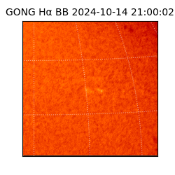 gong - 2024-10-14T21:00:02