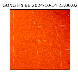 gong - 2024-10-14T23:00:02