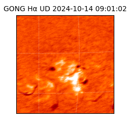 gong - 2024-10-14T09:01:02