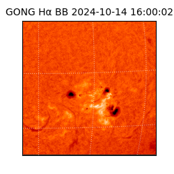 gong - 2024-10-14T16:00:02