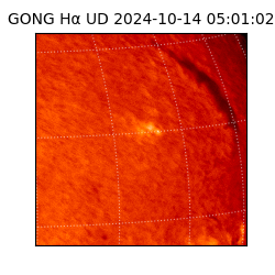 gong - 2024-10-14T05:01:02