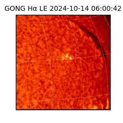 gong - 2024-10-14T06:00:42