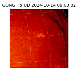 gong - 2024-10-14T08:00:02