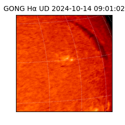 gong - 2024-10-14T09:01:02