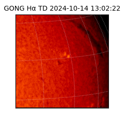 gong - 2024-10-14T13:02:22