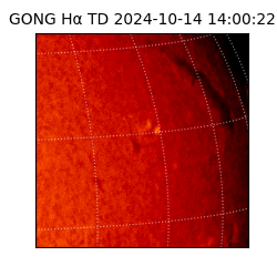 gong - 2024-10-14T14:00:22