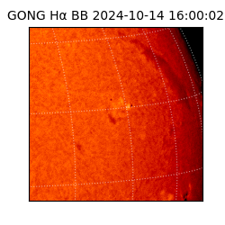 gong - 2024-10-14T16:00:02