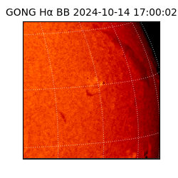 gong - 2024-10-14T17:00:02