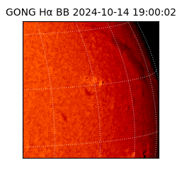 gong - 2024-10-14T19:00:02