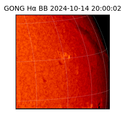 gong - 2024-10-14T20:00:02