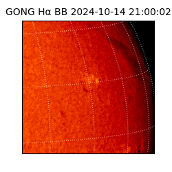 gong - 2024-10-14T21:00:02