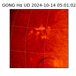 gong - 2024-10-14T05:01:02