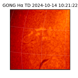 gong - 2024-10-14T10:21:22