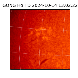 gong - 2024-10-14T13:02:22