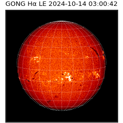 gong - 2024-10-14T03:00:42
