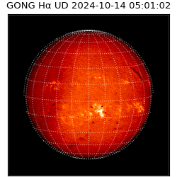 gong - 2024-10-14T05:01:02