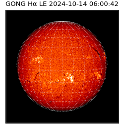 gong - 2024-10-14T06:00:42