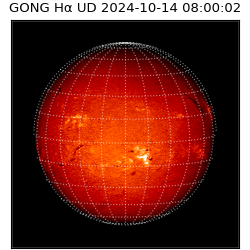 gong - 2024-10-14T08:00:02