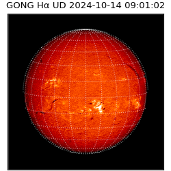 gong - 2024-10-14T09:01:02