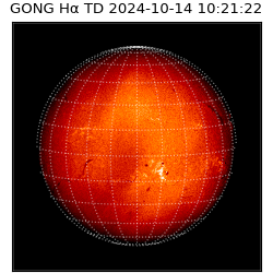 gong - 2024-10-14T10:21:22