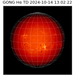 gong - 2024-10-14T13:02:22