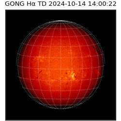 gong - 2024-10-14T14:00:22