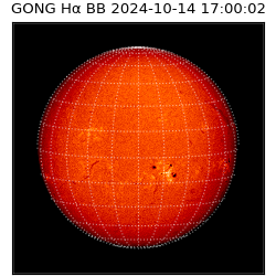 gong - 2024-10-14T17:00:02