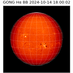 gong - 2024-10-14T18:00:02