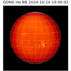 gong - 2024-10-14T19:00:02